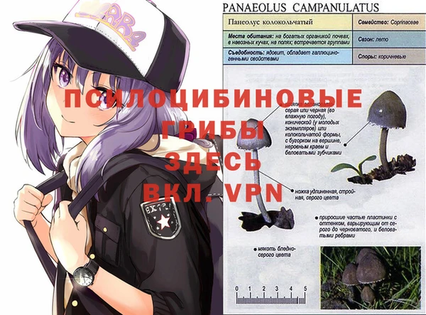 винт Белоозёрский