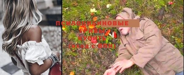таблы Сясьстрой