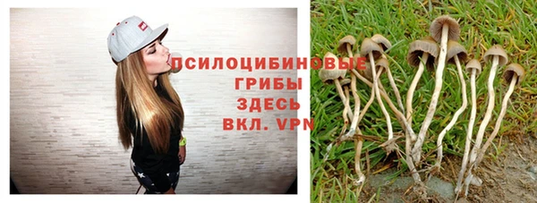 винт Белоозёрский