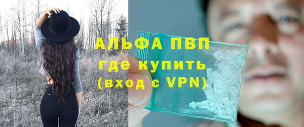 прущие грибы Тайга