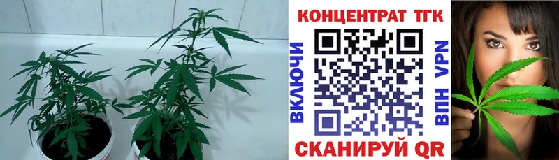 где купить наркоту  hydra как войти  Дистиллят ТГК гашишное масло  Бородино 